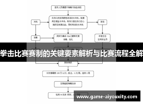 拳击比赛赛制的关键要素解析与比赛流程全解
