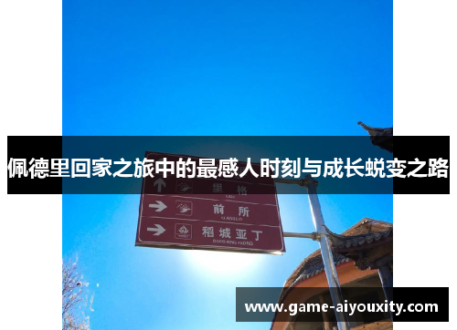 佩德里回家之旅中的最感人时刻与成长蜕变之路