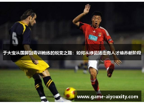 于大宝从国脚到青训教练的蜕变之路：如何从绿茵场走向人才培养新阶段