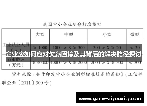 企业应如何应对欠薪困境及其背后的解决路径探讨